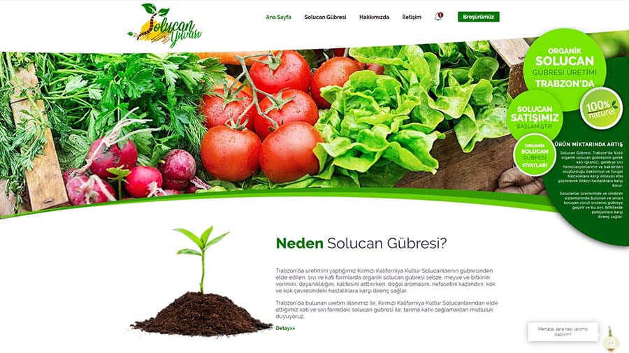 Solucan Yuvas - Web Sitesi